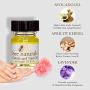Bee Natural Best Cuticle Oil - Nail Oil Helps All Cracked Nails and Rigid Cuticles - Perfect Vitamin E Enriched Treatment for Moisture, Softness & Health - Tea Tree Essential Oils