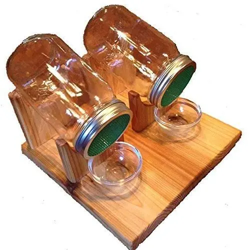 The Sprout Stand Sprouting Kit The Sprout Stand Sprouting Kit