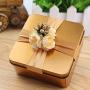Yugust Wedding Party Favor Boxes, 12Pcs Metal Empty Organizer Can,Quadrate Tins Candy Bag Chocolate Gift Storage Containers with Ribbon Mini Tea Jar for Small Things(Golden)