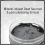 Pure Body Naturals Dead Sea Mud Mask for Face and Body, Purifying Face Mask for Acne, Blackheads, and Oily Skin, 8.8 Ounce