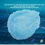 PornThap Premium Organic Body Scrub Bath Cream Mineral Formula (1.35LB) 550 g. PEARL BODY SCRUB mixed Dead Sea Salt & Nutrients INCLUDES, Fast Results First Use Exfoliating, Help for All Skin Problem