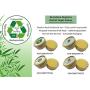 No Tree Was Harmed 1 OZ Kraft Paperboard Jars, 12 Pack, Bamboo Cardboard Jars, Lip Balm/Salve/Balm/Lip Scrub, Aluminum Tin Alternative, Eco Tubes, Cosmetic Containers, Compostable/Biodegradable, 30 ML