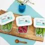 Boîte de conservation keeeper Freeze Food Box Mia Polar Rectangle, 2 Pièces Boîte de conservation keeeper Freeze Food Box Mia Polar Rectangle, 2 Pièces