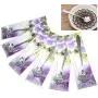 XICHEN 1 ensemble (6 pots avec 6 cuillères à dessert type fleur) Pots en coquille d'œuf en verre pour pudding/yaourt avec couvercle – Pots de verre de remplacement.