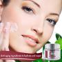 PHYTEMANTEAU Day Face Cream Facial Moisturizer - Anti Aging, Anti Wrinkle Skin Repair For Firming Face, Neck, Décolleté
