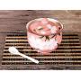 Ceramics Japanese Sakura Sugar Salt Pepper Storage Jar Seasoning Pot with Lid And Spoon