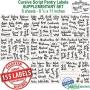 Talented Kitchen 155 Pantry Labels & Fridge ? 155 Cursive Labels, Supplementary Ingredients ? Food Jar Stickers Decal. Water Resistant Pantry Organization Storage (Set of 155? Non Main Cursive Pantry)