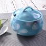 Ceramics Blue Sugar Salt Pepper Storage Jar Seasoning Pot with Lid and Spoon for Home and Kitchen