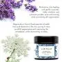 Laritelle Organic Facial Moisturizer, Rejuvenating, Nourishing, Vitamins and Antioxidants-rich Day/Night Cream for Cellular Rejuvenation, Collagen Support & Diminishing Visible Signs of Aging, 0.5 oz Laritelle Organic Facial Moisturizer, Rejuvenating, Nourishing, Vitamins and Antioxidants-rich Day/Night Cream for Cellular Rejuvenation, Collagen Support & Diminishing Visible Signs of Aging, 0.5 oz