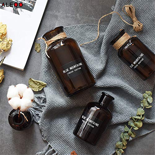 Chic Minimalist Glass Storage Jars Scandinavian Vogue Elegance Desk Storage Bottle Organizer Coffee Tea Flower Container Decor Glass Storage Containers With Lids