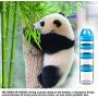 SELEWARE Portable and Stackable 4-Piece Twist Lock Panda Storage Jars Snack Container to Contain Formula, Snacks, Nuts, Drinks and More, BPA and Phthalate Free, 31oz Blue