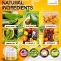 Keratin Hair Mask - Repairs Dry & Damaged Hair - Professional Keratin Hair Treatment with Avocado Oil - Aloe Vera - Vitamin E - Made in USA - Effective Keratin Complex - Anti Frizz