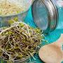 6 Pack Stainless Steel Sprouting Lids Curved Mesh Jar Sprouting Lid Kit For Wide Mouth Mason Jars Canning Jars For Ma