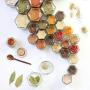 Gneiss Spice Small Empty Magnetic Spice Jars | Create a DIY Hanging Spice Rack on Your Fridge | Includes Hexagon Glass Jars, Magnetic Lids + Spice Labels (10 Small Jars, Silver Lids)