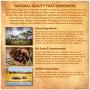 Shea Terra Organics Shea Nilotik’ Oil Fragrance Free for Sensitive Skin |Natural Skin Daily Moisturizer & Conditioner - 8 oz