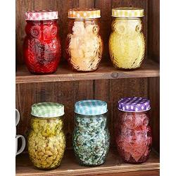 Set of 6 Owl Jars Canisters Gingham Checkered Lids Colorful Glass Kitchen Decor Food Storage