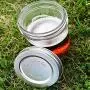Trellis + Co. 6er Pack Edelstahl 316 Wide Mouth Mason Jar Deckel/Kappen | Für Einmachen, Konservieren, Lagerung, Trockenwaren – Robust & Rostfrei