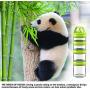 SELEWARE Portable and Stackable 4-Piece Twist Lock Panda Storage Jars Snack Container to Contain Formula, Snacks, Nuts, Drinks and More, BPA and Phthalate Free, 31oz Green