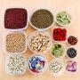 Kitchen Food Storage Jar Airtight Food Storage Kitchen Glass Jar Moisture-Proof Home Multi-Purpose Jam Bottle Cruet Storage Cans Grains 5 Pieces Plastic Transparent, Square Rose Red