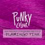 Punky Flamingo Pink Semi Permanent Conditioning Hair Color, Vegan, PPD and Paraben Free, lasts up to 25 washes, 3.5oz
