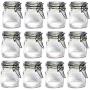 12 X MINI GLASS CLIP TOP SPICE STORAGE PRESERVING JARS CONTAINER CANISTERS (Clear) by Eurotrade W Ltd