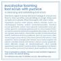 LATHER Eucalyptus Foaming Foot Scrub with Pumice 4 oz - a Clean rinsing, foaming Foot Scrub Developed Specially for The feet