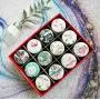 Set von 24 Flamingo-Druck Metall-Tresore mit Deckel, Leere Metallbehälter, Gläser, Behälter, für Süßigkeiten, Kekse, Lippenbalsam, DIY-Kerzen
