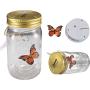 Butterfly in A Jar Vibration Induction Flying Butterfly Simulated Butterfly Jars LED Butterfly in A Jar Fluttering Valentine Kids Gift Home Decor