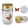 Butterfly in A Jar Vibration Induction Flying Butterfly Simulated Butterfly Jars LED Butterfly in A Jar Fluttering Valentine Kids Gift Home Decor