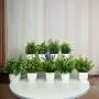 [9 Artificial Potted Plants Decor] Set Of 9 Artificial Potted Plants, Mini White Plastic Flower Pots For Decoration, Faux Green Plants For Home, Office, Bathroom, Bookshelf, And Desk Indoor Decoration, Spring Summer Decor