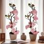 2pcs Artificial Plum Blossom Branches in Pots, Plastic Fake Flowers, Versatile Decoration for Home, Office, Tabletop, with No Battery Required, for Christmas, Halloween, Thanksgiving, Valentine's, Mother'S Day