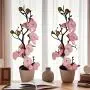 2 Branches de Pivoines Artificielles en Pots, Fleurs Plastiques Fausse, Décoration Polyvalente pour la Maison, le Bureau, la Tabletop, Sans Nécessité de Batterie, pour Noël, Halloween, Thanksgiving, Saint-Valentin, Anniversaire des Mamans 2 Branches de Pivoines Artificielles en Pots, Fleurs Plastiques Fausse, Décoration Polyvalente pour la Maison, le Bureau, la Tabletop, Sans Nécessité de Batterie, pour Noël, Halloween, Thanksgiving, Saint-Valentin, Anniversaire des Mamans