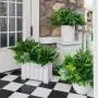 18pcs UV Protected Artificial Boxwood Stems - Evergreen Faux Greenery for Indoor/Outdoor Hanging, Garden, Porch, Window Box, and Home Wedding Decor - Perfect Get Well Gift