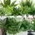 18pcs