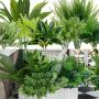 18pcs UV Protected Artificial Boxwood Stems - Evergreen Faux Greenery for Indoor/Outdoor Hanging, Garden, Porch, Window Box, and Home Wedding Decor - Perfect Get Well Gift