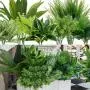 18pcs UV Protected Artificial Boxwood Stems - Evergreen Faux Greenery for Indoor/Outdoor Hanging, Garden, Porch, Window Box, and Home Wedding Decor - Perfect Get Well Gift