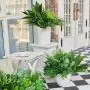 18pcs UV Protected Artificial Boxwood Stems - Evergreen Faux Greenery for Indoor/Outdoor Hanging, Garden, Porch, Window Box, and Home Wedding Decor - Perfect Get Well Gift