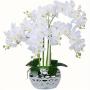 9-Head Lifelike Artificial Orchid Flowers, Plastic Phalaenopsis Plant for Anniversary, Wedding, Engagement, Home Decor - No Container Included
