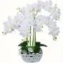 9-Head Lifelike Artificial Orchid Flowers, Plastic Phalaenopsis Plant for Anniversary, Wedding, Engagement, Home Decor - No Container Included 9-Head Lifelike Artificial Orchid Flowers, Plastic Phalaenopsis Plant for Anniversary, Wedding, Engagement, Home Decor - No Container Included