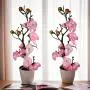 2 Branches de Pivoines Artificielles en Pots, Fleurs Plastiques Fausse, Décoration Polyvalente pour la Maison, le Bureau, la Tabletop, Sans Nécessité de Batterie, pour Noël, Halloween, Thanksgiving, Saint-Valentin, Anniversaire des Mamans 2 Branches de Pivoines Artificielles en Pots, Fleurs Plastiques Fausse, Décoration Polyvalente pour la Maison, le Bureau, la Tabletop, Sans Nécessité de Batterie, pour Noël, Halloween, Thanksgiving, Saint-Valentin, Anniversaire des Mamans