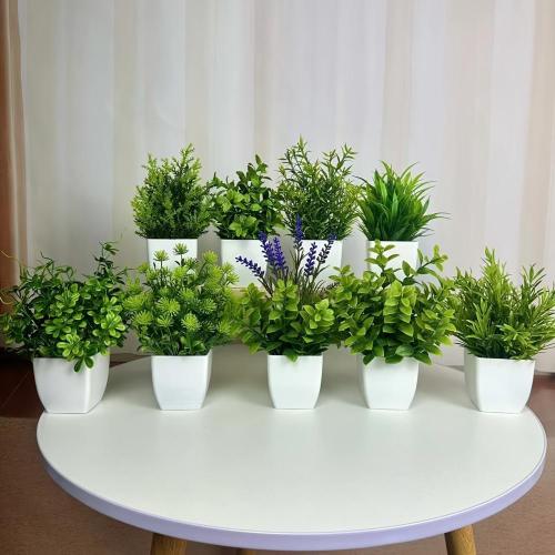 Ensemble de 9 Plantes Artificielles en Pot, Mini Pots Plastiques Blancs pour Décoration, Plantes Vertes Faux pour Maison, Bureau, Salle de Bain, Bibliothèque et Bureau Décoration Intérieure, Décor Printanier Été. Ensemble de 9 Plantes Artificielles en Pot, Mini Pots Plastiques Blancs pour Décoration, Plantes Vertes Faux pour Maison, Bureau, Salle de Bain, Bibliothèque et Bureau Décoration Intérieure, Décor Printanier Été.