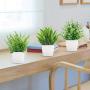 [Artificial Plants in White Pot] 8 Pack Small Artificial Plants - Fake Plants Potted in White Pot for Home Office Bedroom Desk Bathroom Shelf Farmhouse Decoration