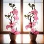 2 Branches de Pivoines Artificielles en Pots, Fleurs Plastiques Fausse, Décoration Polyvalente pour la Maison, le Bureau, la Tabletop, Sans Nécessité de Batterie, pour Noël, Halloween, Thanksgiving, Saint-Valentin, Anniversaire des Mamans 2 Branches de Pivoines Artificielles en Pots, Fleurs Plastiques Fausse, Décoration Polyvalente pour la Maison, le Bureau, la Tabletop, Sans Nécessité de Batterie, pour Noël, Halloween, Thanksgiving, Saint-Valentin, Anniversaire des Mamans
