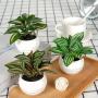 3 Artificial Green Potted Plants, 3 Combinations for Home Decoration, Maintenance Free Plants, Foliage Potted Plants, Indoor Bathroom Countertop Decoration Potted Plants