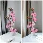 2 Branches de Pivoines Artificielles en Pots, Fleurs Plastiques Fausse, Décoration Polyvalente pour la Maison, le Bureau, la Tabletop, Sans Nécessité de Batterie, pour Noël, Halloween, Thanksgiving, Saint-Valentin, Anniversaire des Mamans 2 Branches de Pivoines Artificielles en Pots, Fleurs Plastiques Fausse, Décoration Polyvalente pour la Maison, le Bureau, la Tabletop, Sans Nécessité de Batterie, pour Noël, Halloween, Thanksgiving, Saint-Valentin, Anniversaire des Mamans