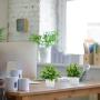 [Artificial Plants in White Pot] 8 Pack Small Artificial Plants - Fake Plants Potted in White Pot for Home Office Bedroom Desk Bathroom Shelf Farmhouse Decoration