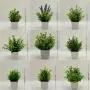 [9 Artificial Potted Plants Decor] Set Of 9 Artificial Potted Plants, Mini White Plastic Flower Pots For Decoration, Faux Green Plants For Home, Office, Bathroom, Bookshelf, And Desk Indoor Decoration, Spring Summer Decor