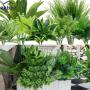 18pcs UV Protected Artificial Boxwood Stems - Evergreen Faux Greenery for Indoor/Outdoor Hanging, Garden, Porch, Window Box, and Home Wedding Decor - Perfect Get Well Gift