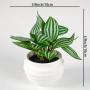 3 Artificial Green Potted Plants, 3 Combinations for Home Decoration, Maintenance Free Plants, Foliage Potted Plants, Indoor Bathroom Countertop Decoration Potted Plants