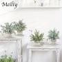 4pcs Mini Retro Artificial Green Plants, Decorative Potted Simulation Plants for Indoor Home, Office, Bedroom, Bathroom Multi-scene Ornament, Boho Housewarming Gifts, Home Aesthetic Decoration, Graduation Season Party Decor